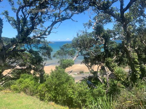 6 Mulberry Grove Road, Great Barrier Island