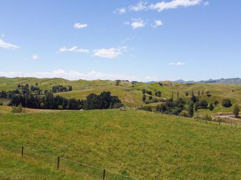 182 Maunga Road, Dannevirke