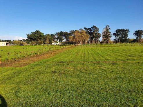 167 Avenue Road, Foxton