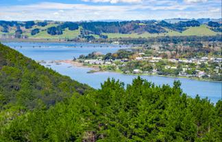 Anchorpoint Forestry - 115Ha