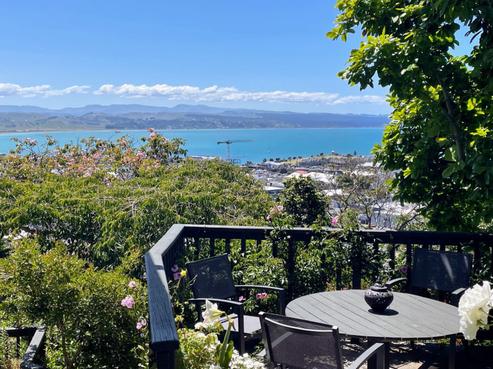 35 Goldsmith Road, Napier Hill