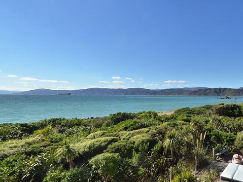 17 Boardwalk Lane, Seatoun