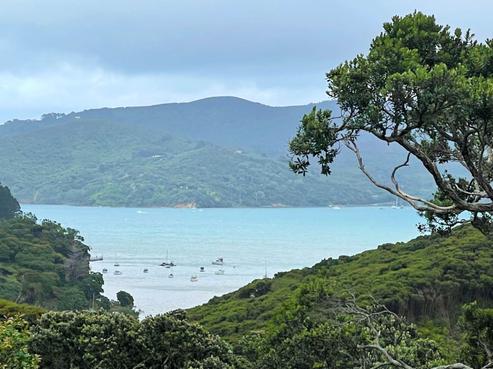 84 Cape Barrier Road, Great Barrier Island