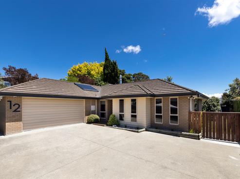 12 Mcallister Place, Renwick