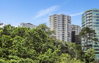 5A/6 St Martins Lane, Grafton