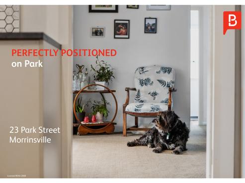 23 Park Street, Morrinsville