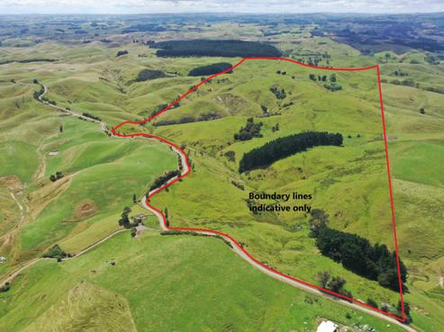 869 Spur Road, Ashhurst