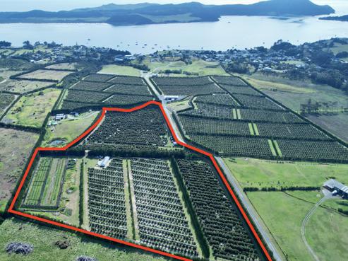 65 Elingamite Drive, Pukenui