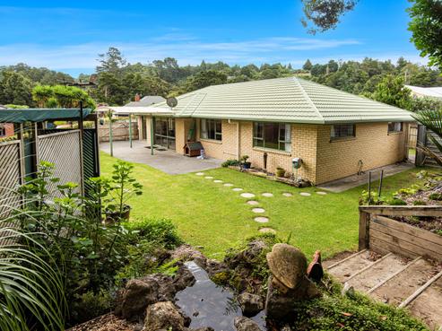 9 Halcyon Place, Whau Valley