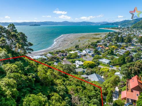 8F Tawa Street, Eastbourne