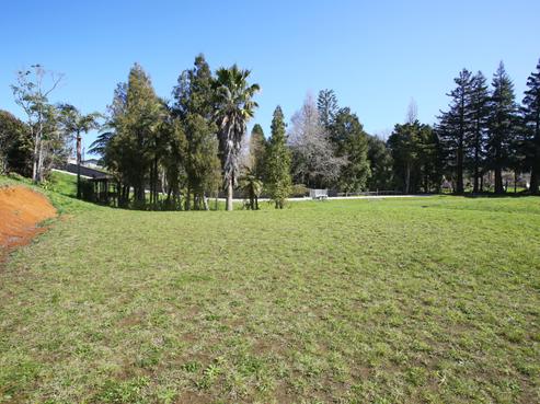 2 Will Cooper Way, Tuakau