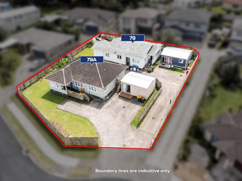 79 Robert Skelton Place, Clendon Park