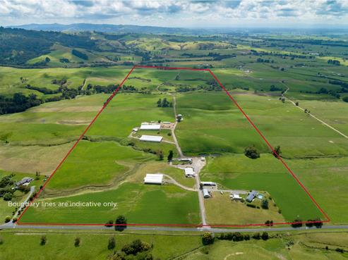 224 Herbert Road, Morrinsville