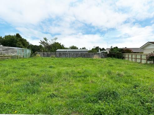 54 Fergusson Street, Woodville