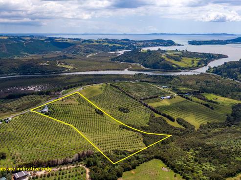92 Frantoio Ridge Road, Mangonui
