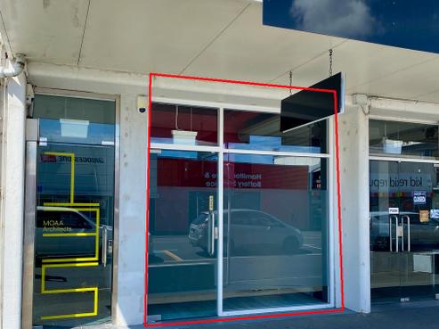 135 Ward Street, Hamilton Central