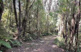 28 Patmos Avenue, Woodhaugh