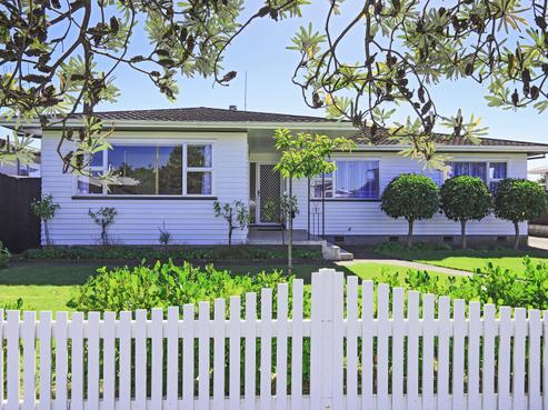 20 Southwark Avenue, Tamatea