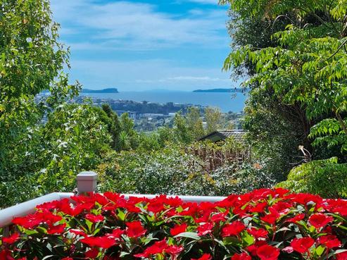 539A East Coast Road, Browns Bay