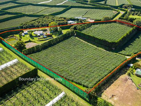 309 Benner Road, Pukehina