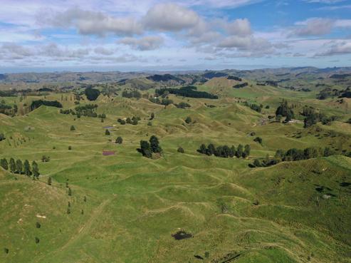 163 Rongoiti Road, Taihape and Surrounds