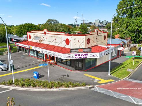 695A Grey Street, Hamilton East