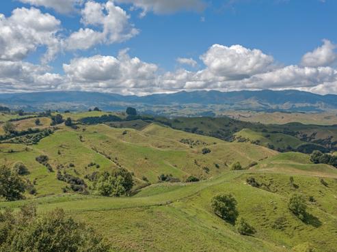 2614 Ridge Road, Pohangina