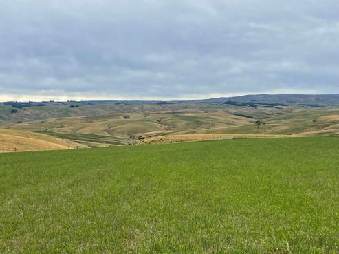 2797 Clarks Junction-lee Stream Road, East Otago