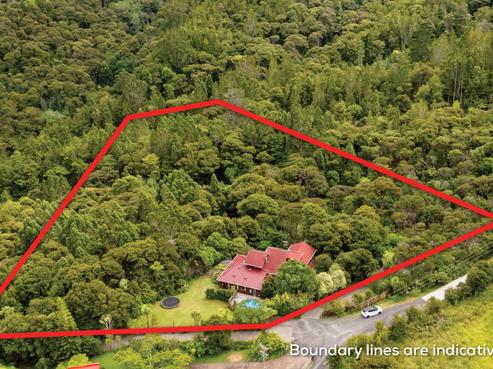 114 Albany Heights Road, Albany Heights