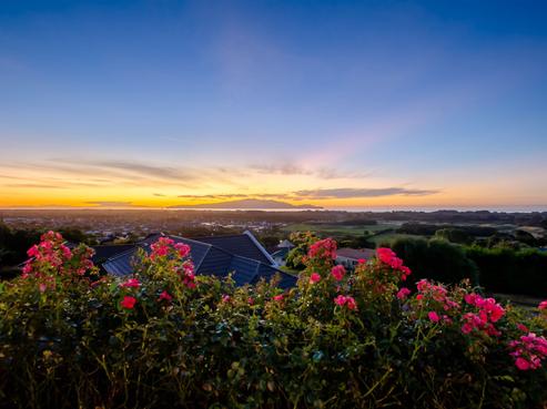 157 Winara Avenue, Waikanae