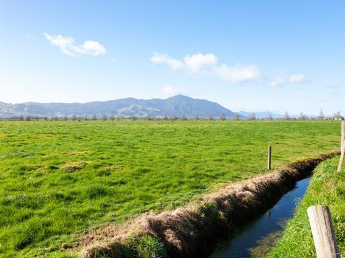 355 Endowment Road, Te Aroha
