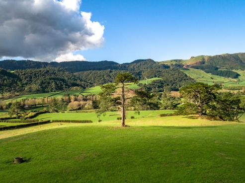 658 Old Te Aroha Road, Okauia