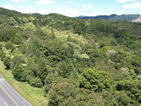 3750 State Highway 10, Kaeo