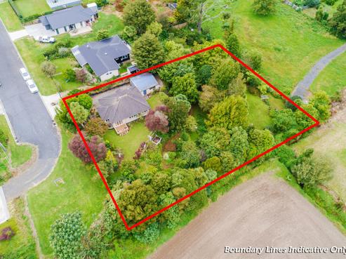 31 Ballance Street, Kihikihi