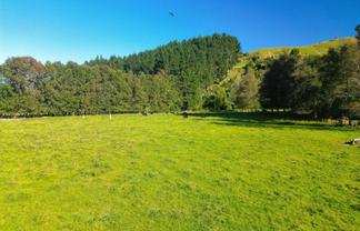  Lot 1, Longacre Road, Okoia