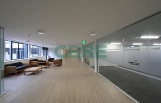 CBRE - Tidy Mt Wellington Office