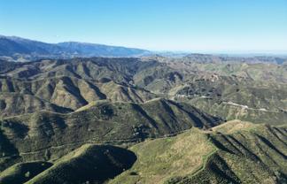 'Makopua' - Mānuka honey and carbon investment