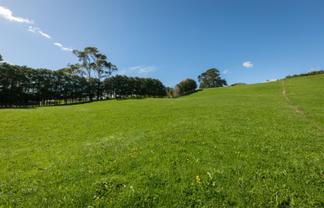 730 Waitawheta Road, Waihi