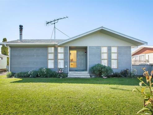 17 Menzies Place, Paeroa