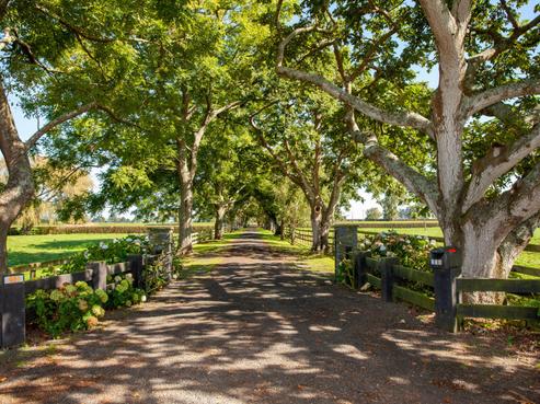 441 Taihoa South Road, Matamata