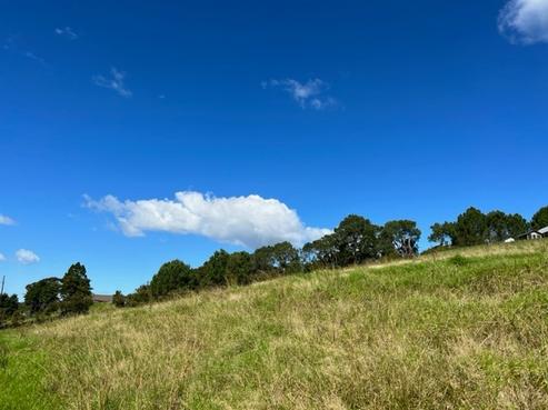 120A Escott Road, Dairy Flat