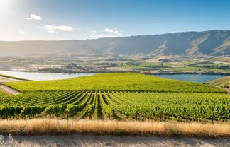 286 Lakefront Terrace, Tarras-Cromwell Road, Cromwell