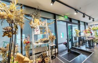 Small Office in Britomart