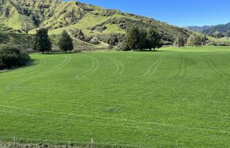 Lot 4 632 Mangaotuku Road, Tututawa