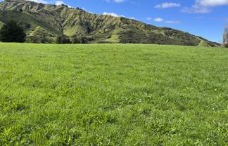 Lot 6 632 Mangaotuku Road, Tututawa