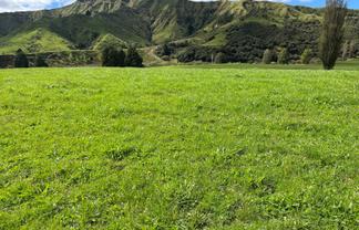 Lot 7 632 Mangaotuku Road, Tututawa