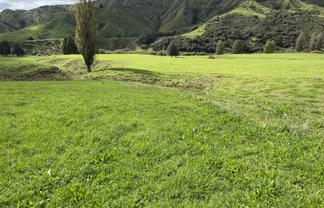 Lot 8 632 Mangaotuku Road, Tututawa