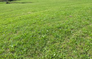 Lot 9 632 Mangaotuku Road, Tututawa