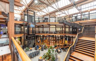 Spacious Saatchi Character