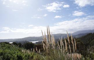 8  Camber Drive, WHITBY